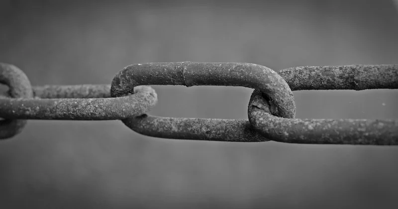 Maillage interne et netlinking externe : quelle différence ?